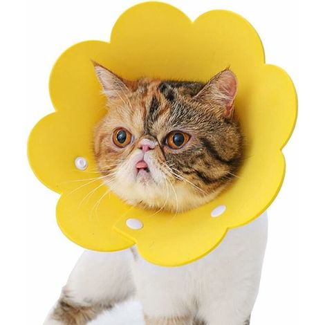 Pet collar, anti-lick collar, protective collar, Elizabethan-style cat collar (yellow, L) (1/5)