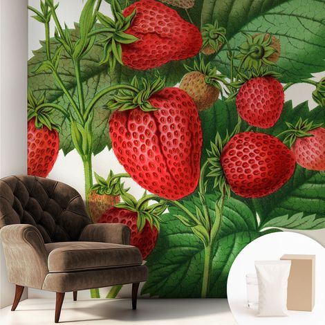 Fototapete Tapete Vliestapete mit Kleber - Wandtattoo - leicht anzubringen - Wandverkleidung Sommerfrüchte 250x250 cm (1/5)