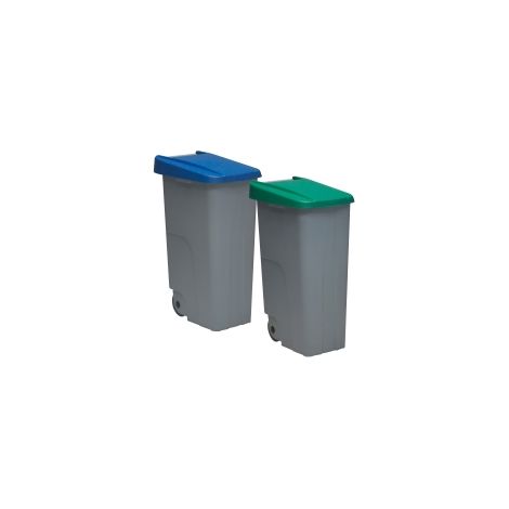 WELLHOME Set di 2 Contenitori Chiusi da 110L Blu + Verde H.88cm