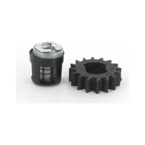 Dichtungssatz Pignon 495877 - 696539 - 490467 BRIGGS et STRATTON