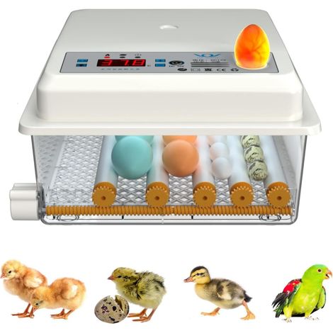 Incubadora de huevos automática digital de 16 huevos, volteadora de huevos de granja, control de temperatura automático de huevos de gallina y aves de corral, color blanco (1/5)