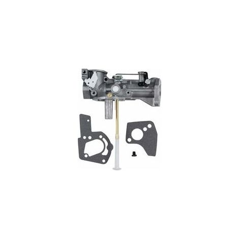 Carburateur avec Kit Joint de Carb pour Briggs & Stratton 498298 Remplacer 134202 133212 5HP Carburateur Briggs & Stratton (1/4)