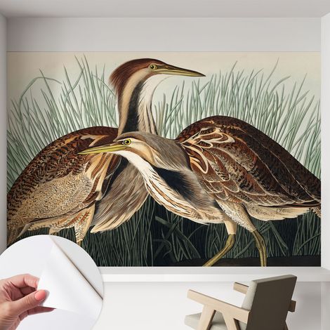 Fotomurale adesivo - Carta da parati adesiva - per la cucina camera da letto per la soggiorno - Uccelli realistici 152x104 cm (1/5)