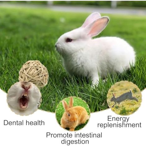 Lot de 24 jouets de lapin : balle à macher pour petits animaux, kit de jouets naturels pour soins dentaires, accessoires pour lapins, hamsters, cochons d'Inde et autres petits animaux (1/3)