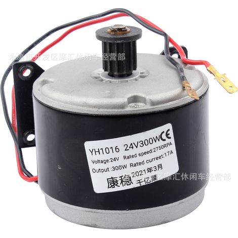 Zubehör für Mini-Motorrad-Klapproller, Little Dolphin 24V 300W gebürsteter Synchron-Riemenscheibenmotor, Elektromotor (1/5)