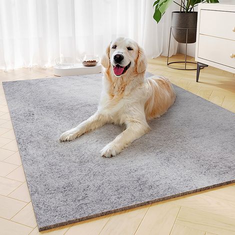 Tapis Pour Chien - Tapis Réfrigérant En Soie Glacée - 60 x 45 cm - Antidérapant - Lavable En Machine - Pour Chiens De Taille Petite À Grande (1/5)