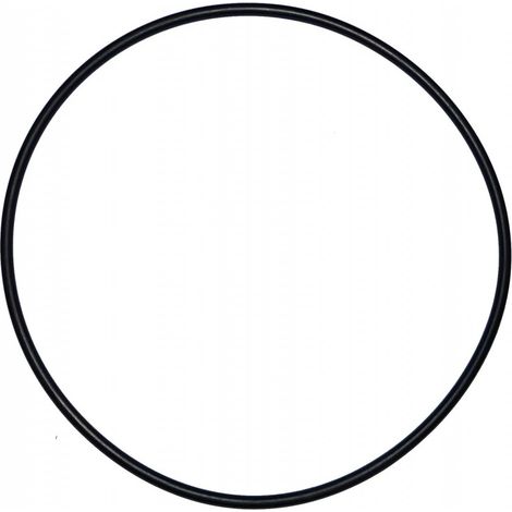 Joint torique diamètre 200 mm de diamètre pour dome de filtre Calpas ancien mod le (d 19