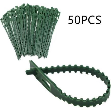 Plant clips - 17 cm long - Sturdy for small and large shoots, trellises, rose arches, stakes, 50 pieces