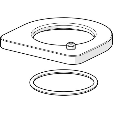 Hansa Rosette 1006394V Chrom