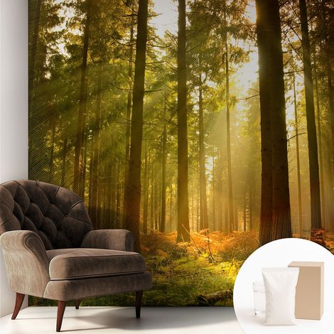 Papier peint intissé mural avec colle pour salon et chambre Décoration murale rapide - Colle incluse gratuite Matin dans la forêt 250x250 cm (1/5)