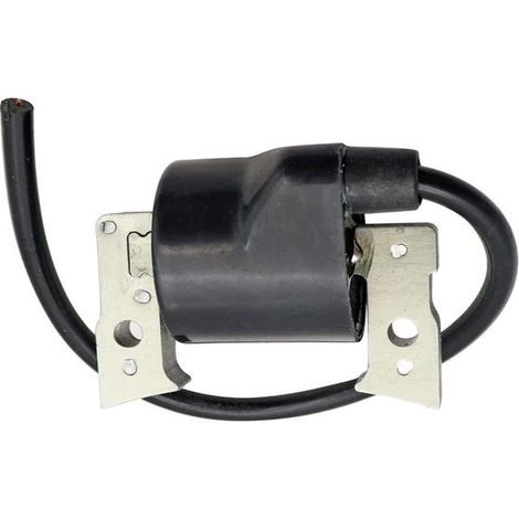 Zündspule für Rasenmäher, Zubehör 21121-2008 FB460V FC400V AM101065 (1/4)