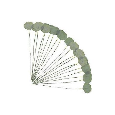 20 tiges de feuilles d'eucalyptus artificielles, tiges d'eucalyptus, fausse verdure pour compositions florales (1/2)