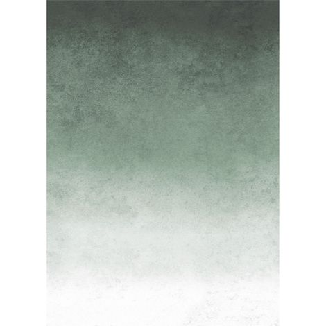 Art for the Home - Fototapete Farbverlauf - Vliestapete Grün - 200x280cm (1/5)