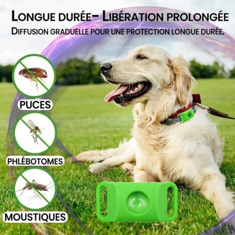 AqualityPets Collier Antiparasitaire Chien Naturel, Protège Contre Puces, Tiques et Phlébotomes, Protection 12 Mois – Résistant à l’Eau, Taille Unique