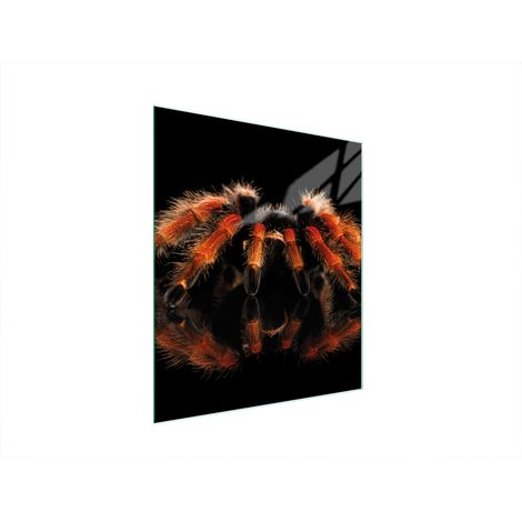 TABLA DE CORTAR DE VIDRIO 45x52 ARAÑA (1/5)