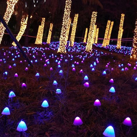 Guirlande Lumineuse Champignon Solaire - 3,8 M - 10 LED - Pour Jardin Terrasse Allée Extérieur - 8 Modes D'éclairage - 1 Pièce (1/5)