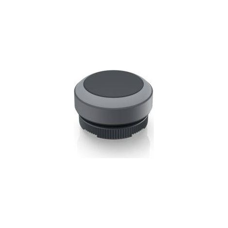 RAFI 1.30.270.001/0108 RAFIX 22 FS Bouton-poussoir à rappel (L x l x H) 29.8 x 29.8 x 18.5 mm 1 pc(s) V301663