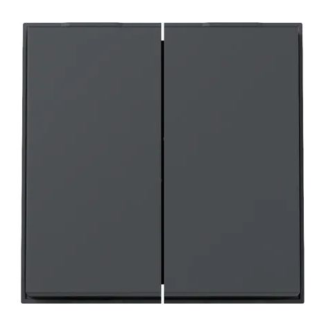 Gira Bilanciere 2f Gira TX44 (WG UP) Antracite [329567], 3295 67