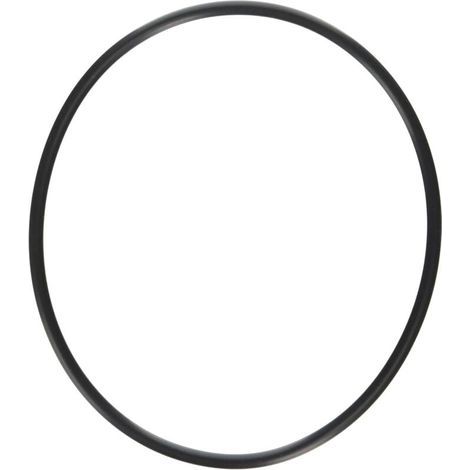 Ersatz-O-Ring für Mehrwegeventile und Sandfiltersysteme (1/4)