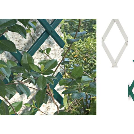 Traliccio Estensibile In PVC Per Piante Rampicanti Recinzione Giardino Balcone, misura100x200coloreVerde
