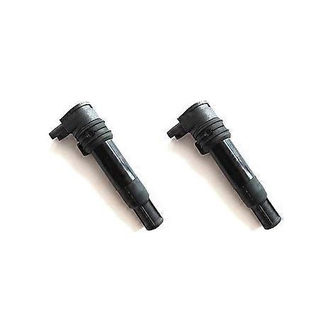2 Stück Zündspulen 7715853-01 und 7715853-02 für R 1150 R22 0447 (Neue Zündung)