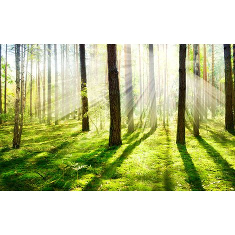 Affiche sous bois de jacinthes - 60x40cm - made in France (1/5)