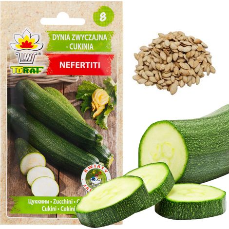 Graines de courgettes W1031, courgettes, citrouilles, légumes verts Nefertiti, savoureuses, 3 g (1/5)