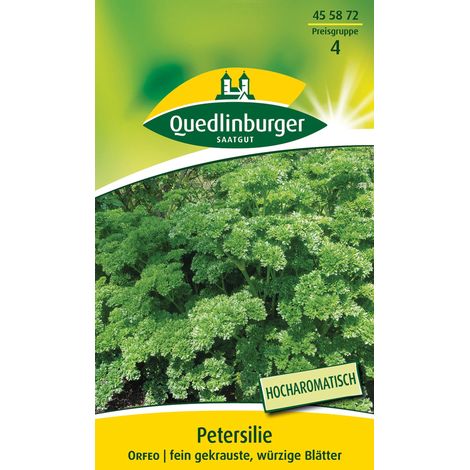 Quedlinburger Petersilie Orfeo - Kräutersamen (1/2)