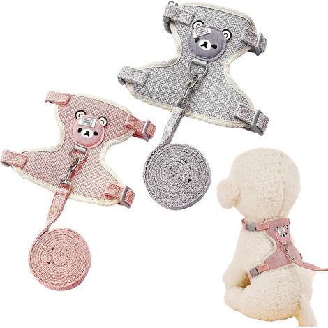 Lot de 2 Laisses, Harnais Réglable, Tissu Respirant, Accessoire Lapin, Petit Animal (1/5)