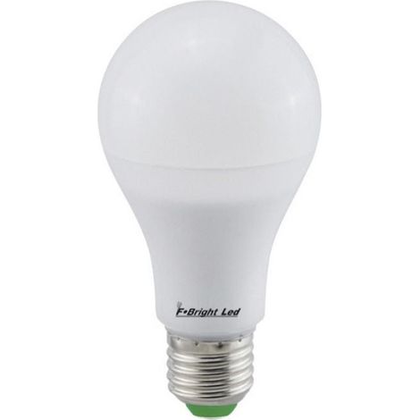 Ampoule LED E27 standard 10W 6500K 24V