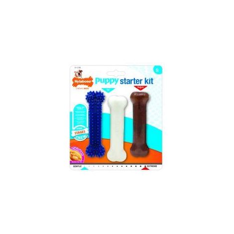 Nylabone Puppy Starter Kit - sgl - 325354 (1/5)