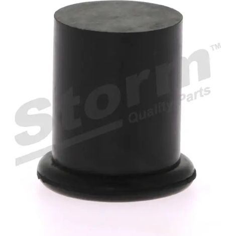 Bouchon d'étanchéité/de protection 7703074094