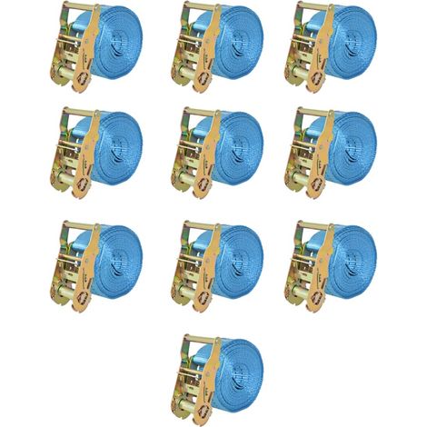 Ratchet Tie Down Straps 10 pcs 2 Tonnes 6mx38mm Blue vidaXL