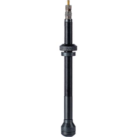 Valves Tubeless Vélo 80mm (x2) - Compatible Montage Sans Chambre à Air - Schwalbe