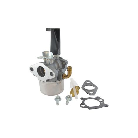 Carburateur Adaptable Briggs & Stratton Pour Moteurs 190 Cc à Vilebrequin Horizontal 110432, 110437, 110452, 110492, 110412, 111