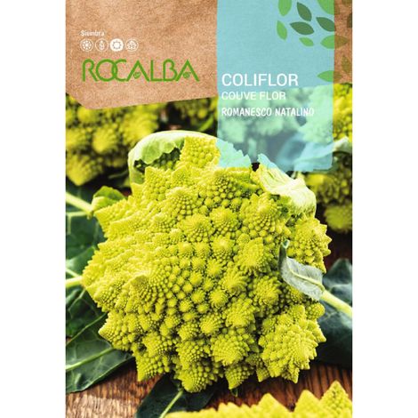 Rokalba Caciflor Romanesco Natalino 8G