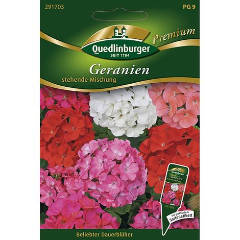 Quedlinburger Saatgut – Géraniums zonaux dressés en mélange – Graines de fleurs, blanc, rose et rouge, hauteur env. 30 cm