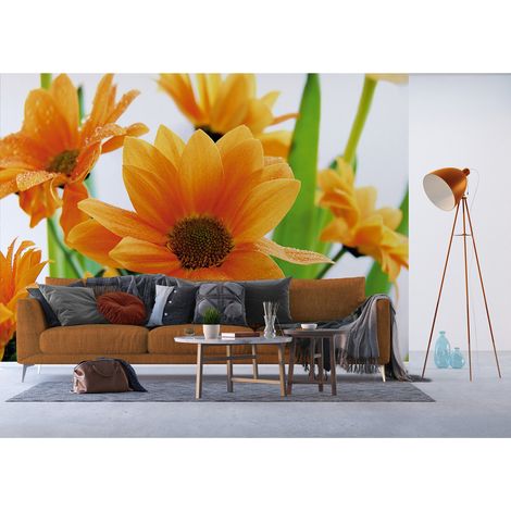 Papier peint intissé - Fleurs éclatantes - 360x270 cm