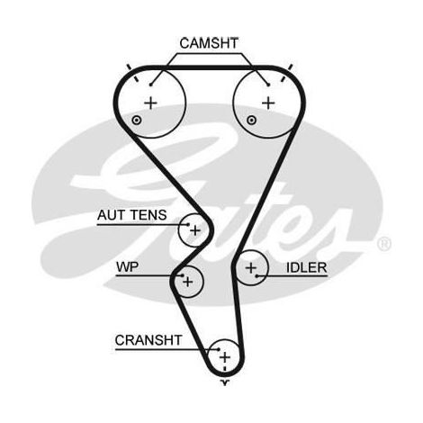 Courroie crantée Gates 5615XS CITROËN 0816G8 0816H5 96468644 9646864480