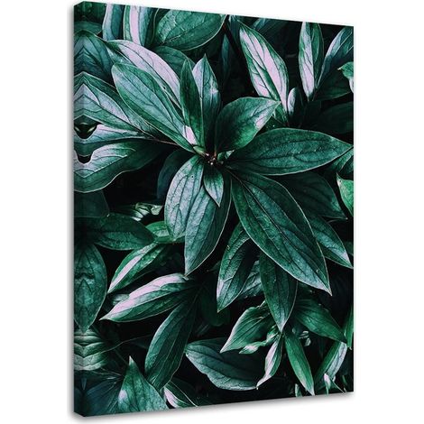 Tableau décoratif Jungle Plantes Nature 40x60 (1/5)
