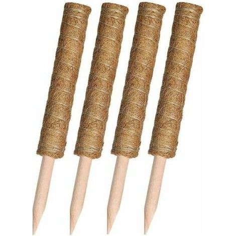 Filiyano-Tuteur en noix de coco de 40 cm pour plantes grimpantes, 4 tuteurs en mousse de noix de coco, pour plantes d'intérieur et d'extérieur, marron (1/5)