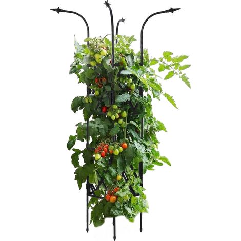 Supporto metallico per piante rampicanti con portavaso verticale per pomodori e cucurbitacee, per uso interno/esterno. (1/4)