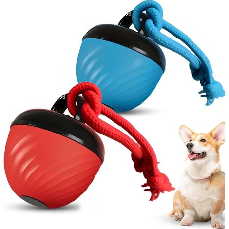 Deux balles interactives pour chiens, jouets électriques avec fonctions de mouvement automatique et de roulement le long de parcours aléatoires. (1/5)