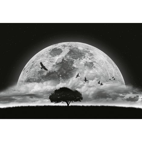 Papier peint panoramique lune | Tapisserie panoramique arbre dans la nuit pour chambre adulte | Papier peint panoramique noir & blanc - 384 X 260 cm (8 pièces) (1/2)