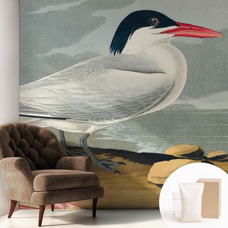 Papier peint intissé mural classique avec imprimé motifs décoratifs design élégant non‑tissé Paysage marin 250x250 cm (1/5)