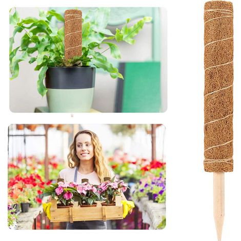Tuteur en fibre de coco pour plantes grimpantes, poteau extensible pour lierre, support de jardin 50cm avec trous empilables, lot de 2 (1/4)
