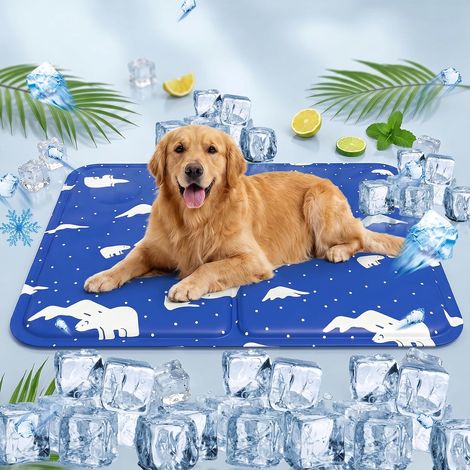 CCYKXATapis Rafraîchissant pour Chien et Animaux de Compagnie, Matelas Frais Intérieur Extérieur, Ours Polaire Bleu Royal, Taille L 50x60 cm (1/5)