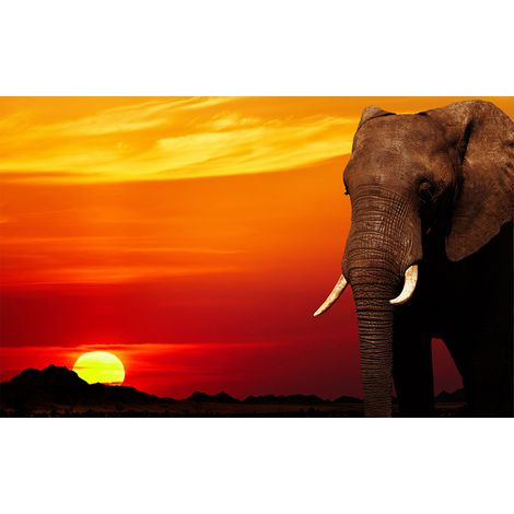 Affiche deco eléphant au coucher du soleil - 60x40cm - made in France (1/5)