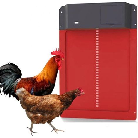 Porta automatica per pollaio, porta per pollaio con sensore di luce, sensore di luce automatico a induzione impermeabile a batteria, allevamento di polli sicuro (1/5)