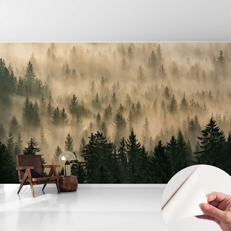 Tapete Selbstklebend - abwaschbar - Tapete mit Motiv - trendige Wanddeko - elegant Fototapete Waldnebel 416x254 cm (1/5)